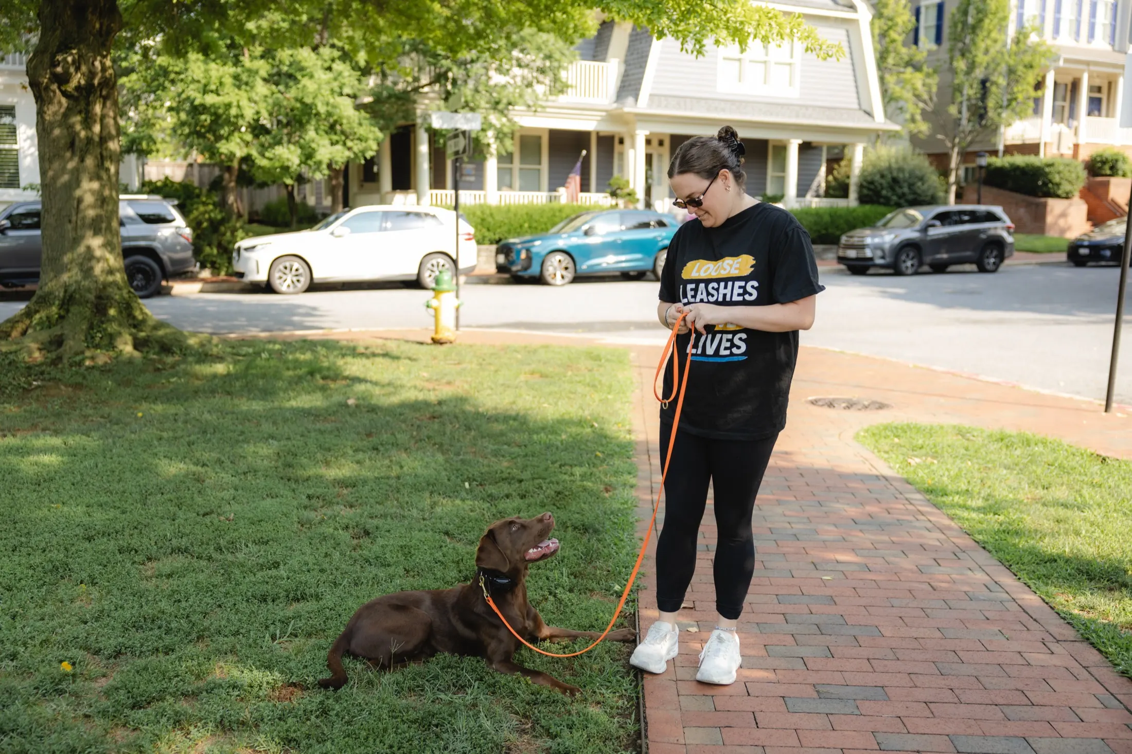 Loose leash on a quiet street