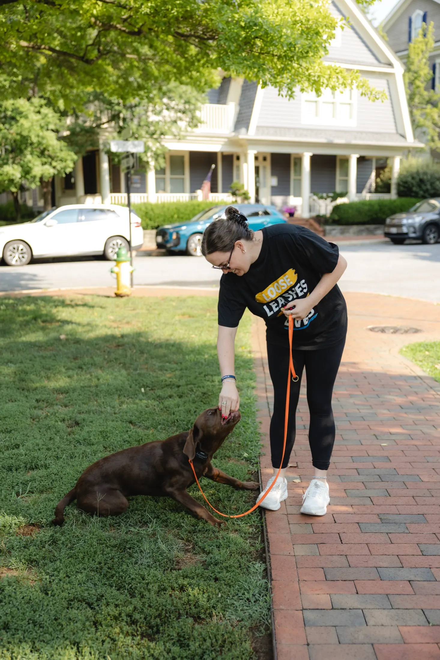 Zak walking a chocolate lab down a tree-lined brick path during a Stay & Train session