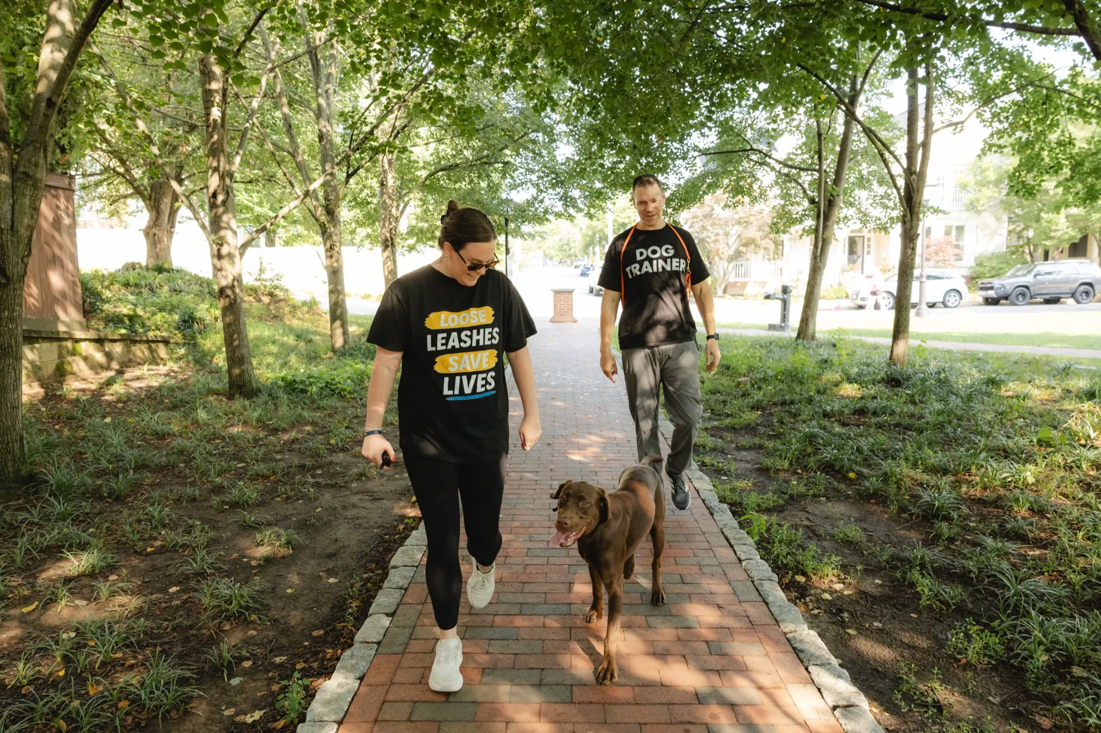 The whole crew, leash loose