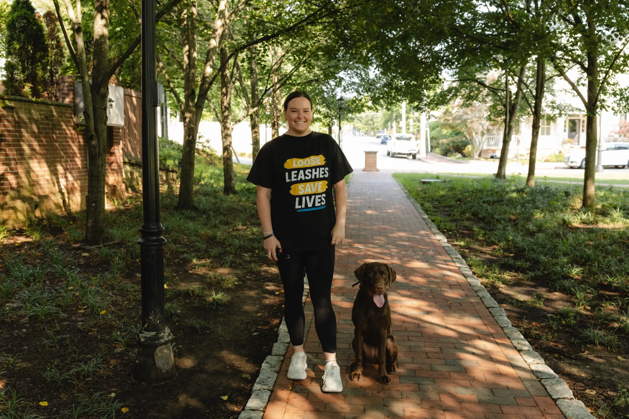 Sit-stay on the brick path