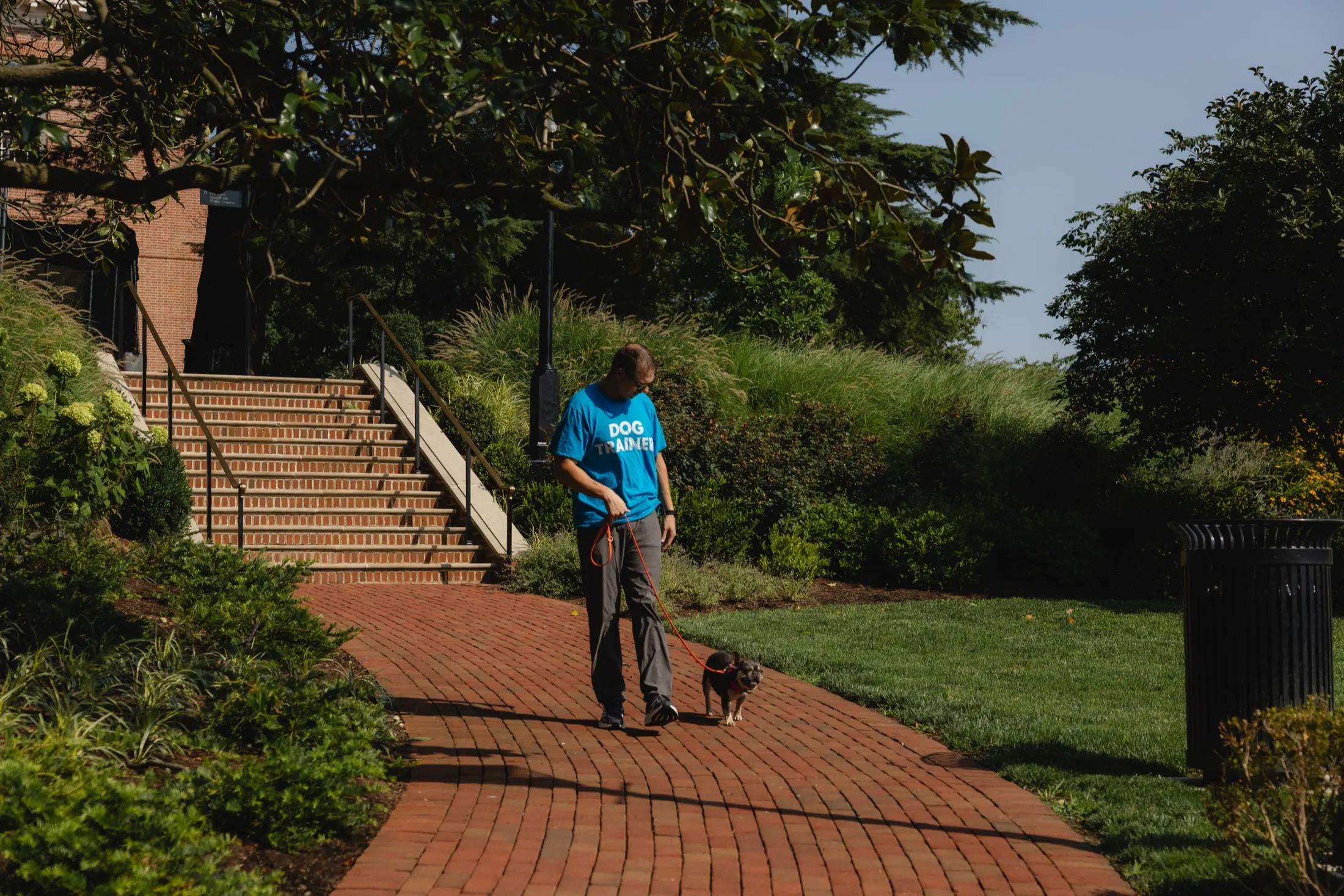 Zak walking a French bulldog past the brick steps of the Maryland State House